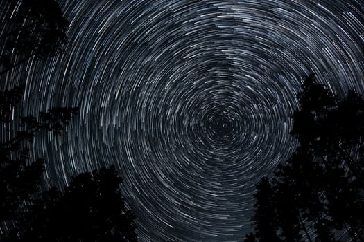 Long exposure captures mesmerizing star trails forming circular patterns above treetops, showcasing the beauty of the night sky in a remote forest location. photo