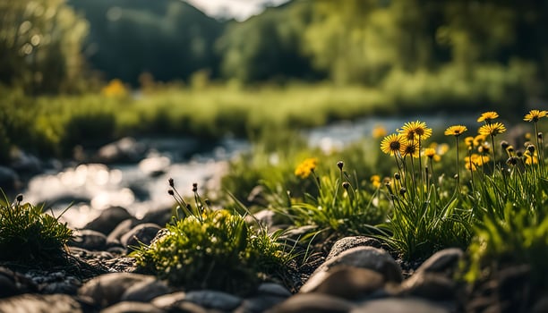 Streamside Flowers day photo
