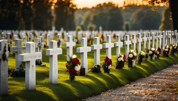 Rows of White Crosses in a Military Cemetery photo