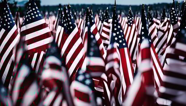 Field of American Flags photo