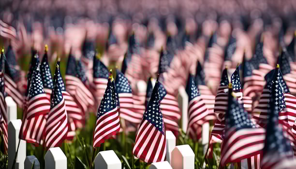 Field of American Flags photo
