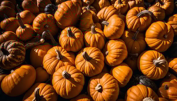 Close-up of Pumpkins in a Pile photo