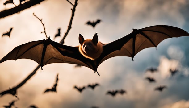 Flying Bat Silhouette with Wings Spread Wide photo