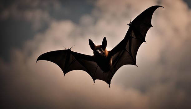 Bat in Flight photo