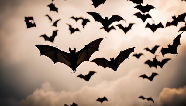 Bats in Flight photo