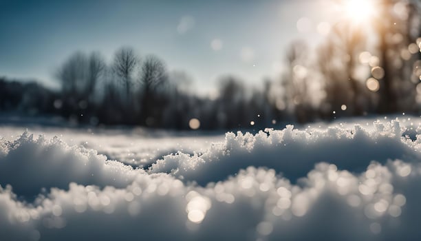 Winter Wonderland Snow-Covered Ground with a Sunlit Sky photo