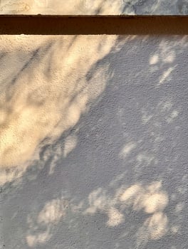 Dappled Light on Concrete photo