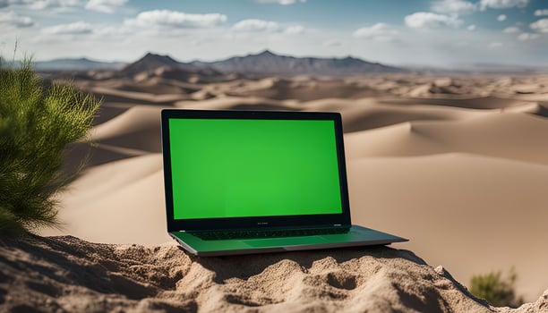 Laptop in the Desert photo