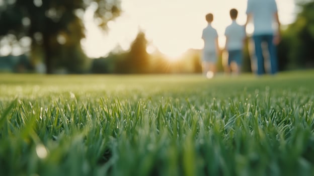 serene family scene with parents and children walking on green grass during sunset, creating warm and joyful atmosphere photo