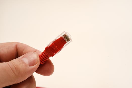 Red internet cable in hand. The RJ-45 connector. photo