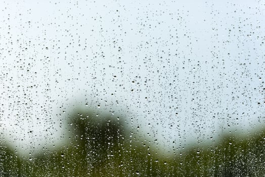 Rain water drops on a window glass photo