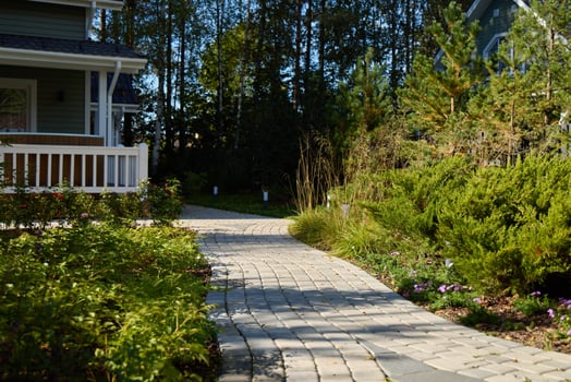A Charming Pathway Nestled Within a Lush and Beautiful Residential Garden Setting photo