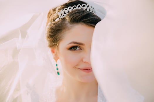 A bride is wearing a veil and a tiara. photo