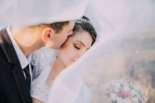 A bride and groom are kissing each other's lips in front of a veil photo