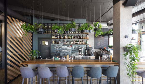Different beverages on bar counter in modern cafe, online bar, no people, copy space, panorama photo