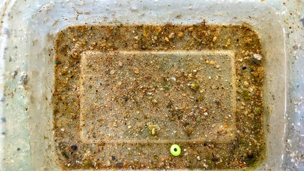 Dirty plastic container with soil and debris photo