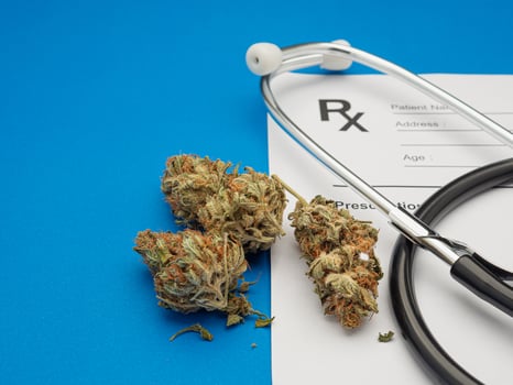 Dry marijuana buds flower and a stethoscope over the medical prescription sheet on a blue background photo
