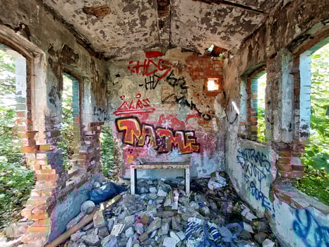 Small demolished room with scribbles on the wall and nature growing inside photo