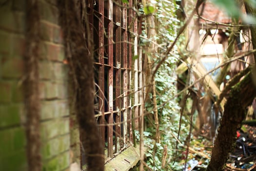Abandoned rusty metal window frames without glass photo