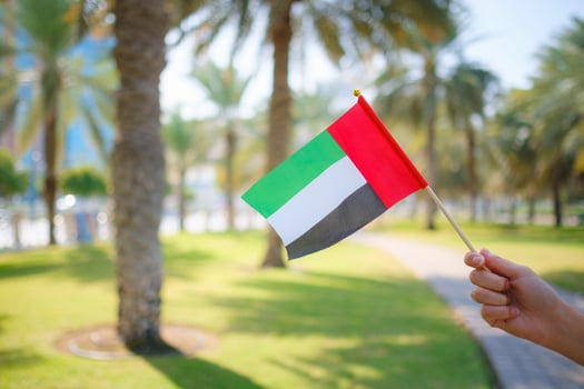 female hand holding tiny flag of UAE in summer park photo