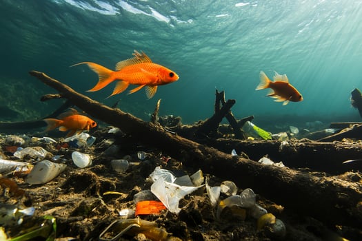 Underwater scene with goldfish amid plastic pollution. photo