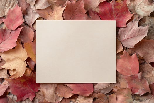 A blank sheet on colorful autumn leaves, ideal for notes or art. photo