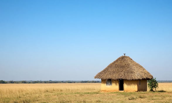 A solitary thatched-roof hut stands in a vast, open landscape. photo