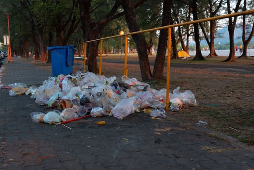 Litter After new year Celebration photo