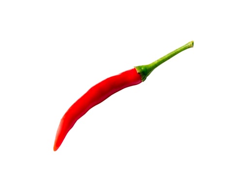 Chili pepper on a white background. photo