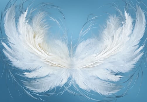 Soft white feather wings on blue background photo