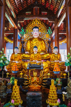 There are many Buddhist golden Buddha statues inside a temple in a pagoda in Nha Trang, Asia. Vietnam photo