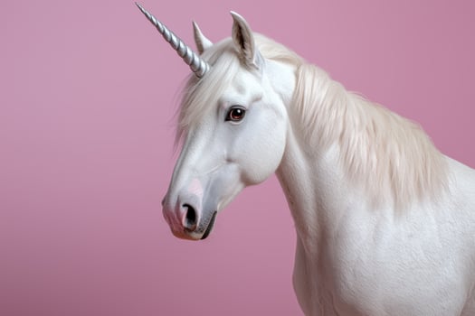 White unicorn horse with silver horn on pink background photo