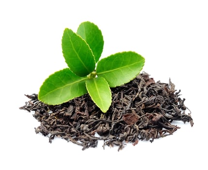 Tea leaves and green leaves tea . photo