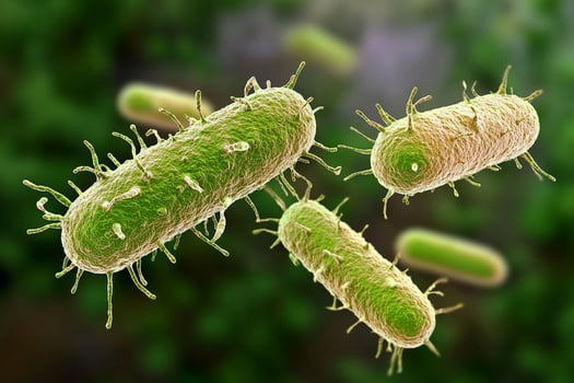 Bacteria in a green field photo