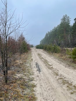 Trail left by heavy construction equipment photo