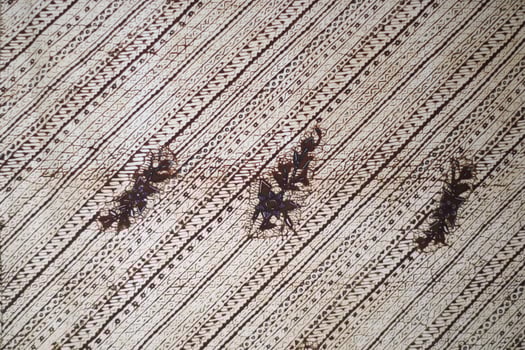 Beautiful and original creative batik design from south east asian countries, Batik background,Common attire for asian, worn on public functions and ceremonies photo