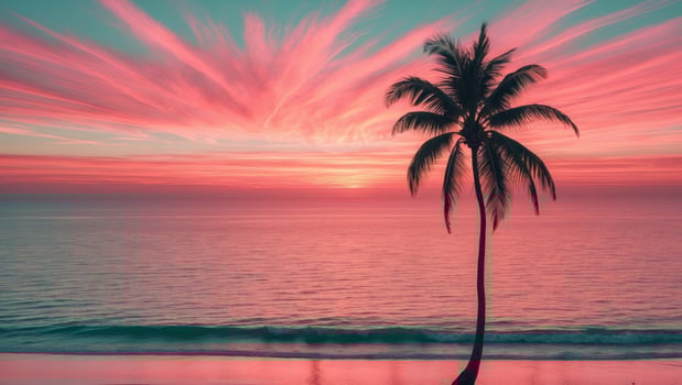Pink sunset over the ocean with a palm tree on the beach photo