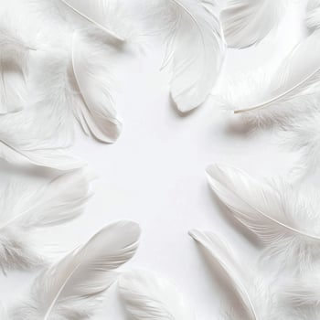 White feather background with copy space photo