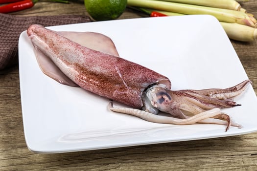 A squid on a plate with some vegetables photo