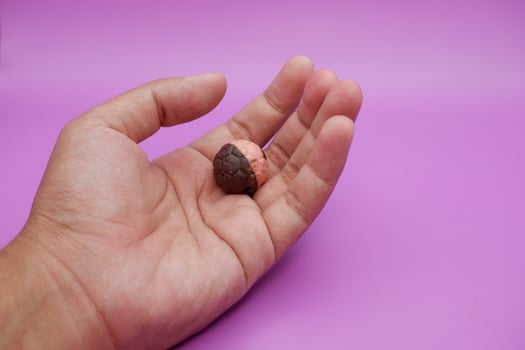 Hand holding half pink, half brown chocolate ball snack on purple background photo