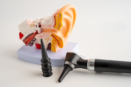 Otoscope with model for audiologist or ENT doctor use otoscope checking ear and treat hearing loss problem. photo