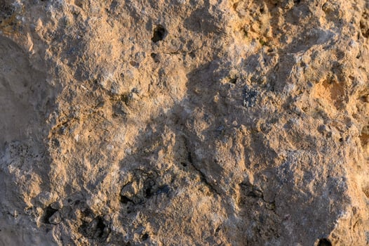 Ancient petroglyphs captured in sunlight reveal the artistry of prehistoric people photo