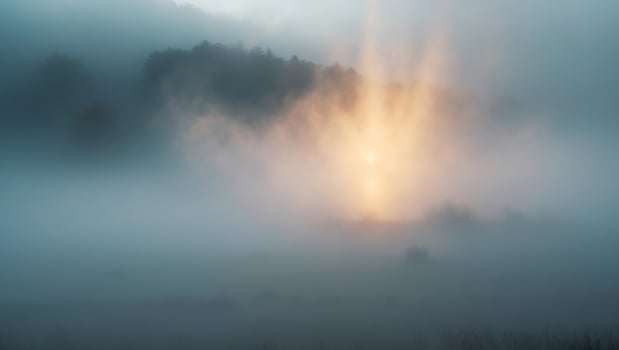 Mysterious foggy scene with dramatic lightMysterious foggy scene with dramatic light. photo