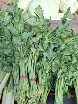 Fresh Green Celery Stalks at Farmers Market Produce Stand photo