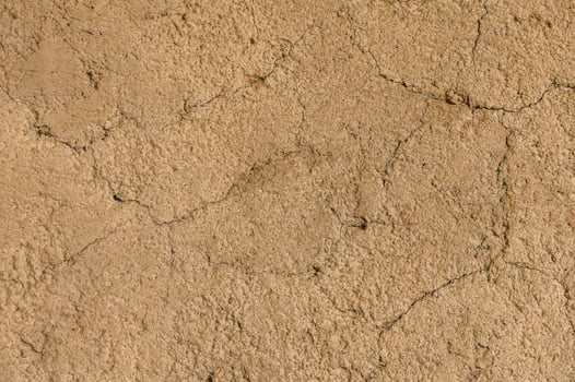 Exploring the natural texture and patterns of earthy soil in a sunlit outdoor setting photo