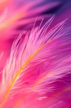 Pink Feather with Yellow Rachis Close-up photo