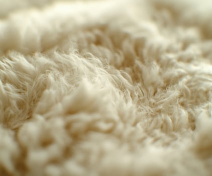 Wool texture close-up showing soft fibers and natural warmth during daylight photo