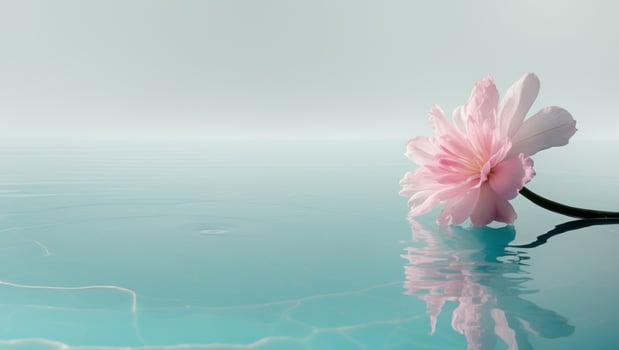 A pink flower sitting on the edge of a swimming pool. photo