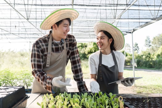 Happy Couple Gardening Together with Herbs and Cannabis in a Greenhouse Setting, Embracing Sustainable Living and Organic Cultivation photo