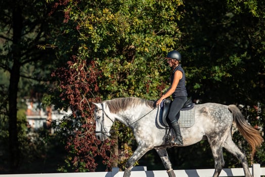 copyspace Young female rider practicing with her horse at the equestrian center during sunset photo